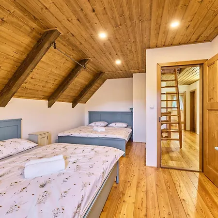 Chalet Modrin Horni Marsov
